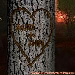 Proof of Love!
