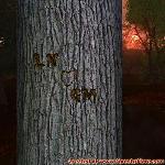 Proof of Love!