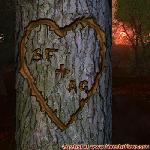 Proof of Love!
