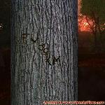 Proof of Love!