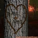 Proof of Love!