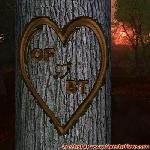 Proof of Love!