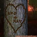 Proof of Love!