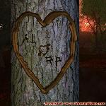 Proof of Love!