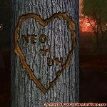 Proof of Love!