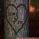 Proof of Love!