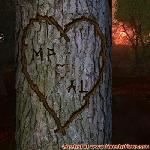 Proof of Love!