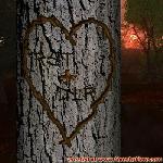Proof of Love!