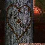 Proof of Love!