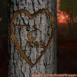Proof of Love!
