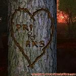 Proof of Love!