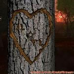 Proof of Love!