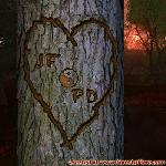 Proof of Love!