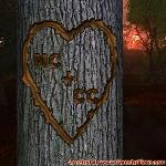 Proof of Love!