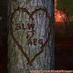 Proof of Love!