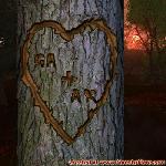 Proof of Love!