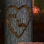 Proof of Love!