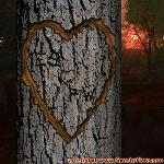 Proof of Love!