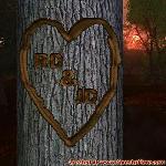 Proof of Love!
