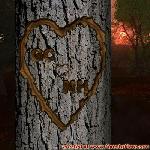 Proof of Love!