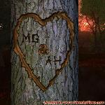 Proof of Love!