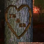 Proof of Love!