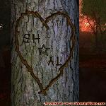 Proof of Love!