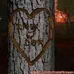 Proof of Love!