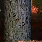 Proof of Love!