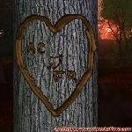 Proof of Love!