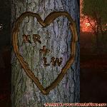 Proof of Love!