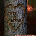Proof of Love!