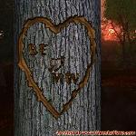 Proof of Love!
