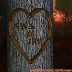 Proof of Love!