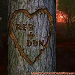 Proof of Love!