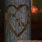 Proof of Love!