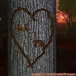Proof of Love!