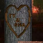 Proof of Love!