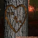 Proof of Love!