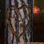 Proof of Love!