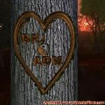 Proof of Love!