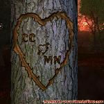 Proof of Love!
