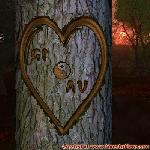 Proof of Love!