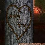 Proof of Love!