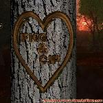 Proof of Love!