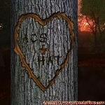 Proof of Love!