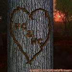 Proof of Love!