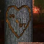 Proof of Love!