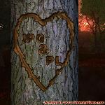 Proof of Love!