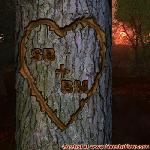 Proof of Love!